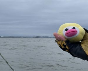 Clampy on boat